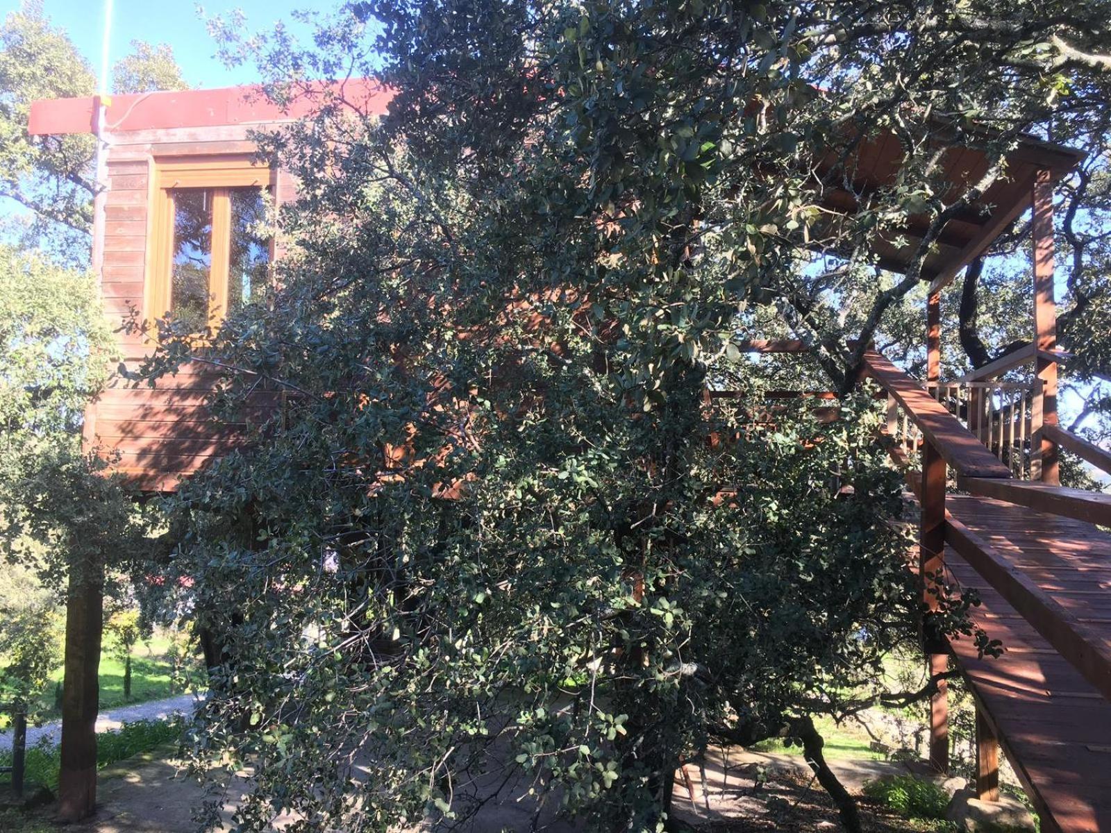 Cabana El Valle Pedroso de Acim Εξωτερικό φωτογραφία